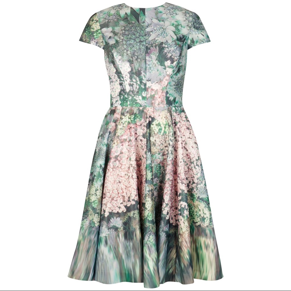 NWT Ted Baker London 'Glitch' Fit & Flare Floral Dress
